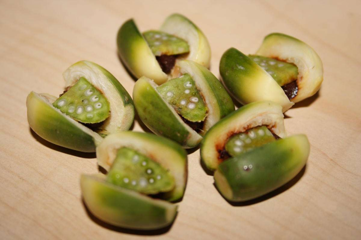 圖片來源：維基百科／Hadge（CC BY-SA 3.0）