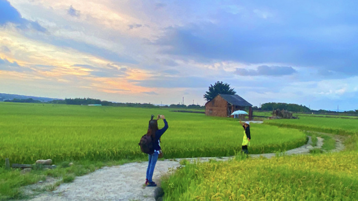 彰化芬園鄉寶山國小後方的稻田會隨四季變化呈現不同景象，加上S型「稻路」搭配紅磚小屋，形成田間美景，成為IG熱門打卡景點。