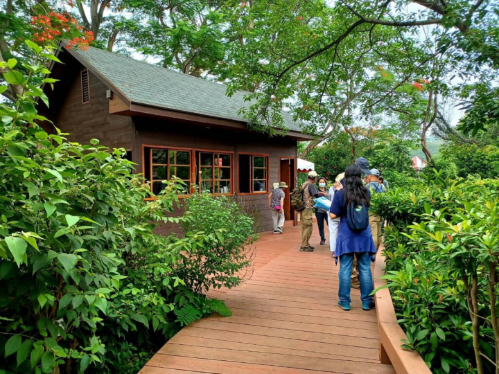 高雄市政府2021年完成鳥松濕地園區內步道更新，提供民眾完善的生態教育環境，木棧道採離地設計，以降低對植物和昆蟲干擾，讓生物自由穿梭。（高雄市政府提供）