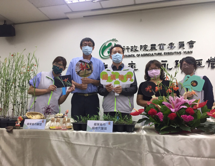 農委會種苗改良繁殖場20日舉行記者會，宣布台灣原生百合之一的細葉卷丹，經興大、種苗場接力合作，種苗已能量化繁殖，歡迎民眾向種苗場購買。