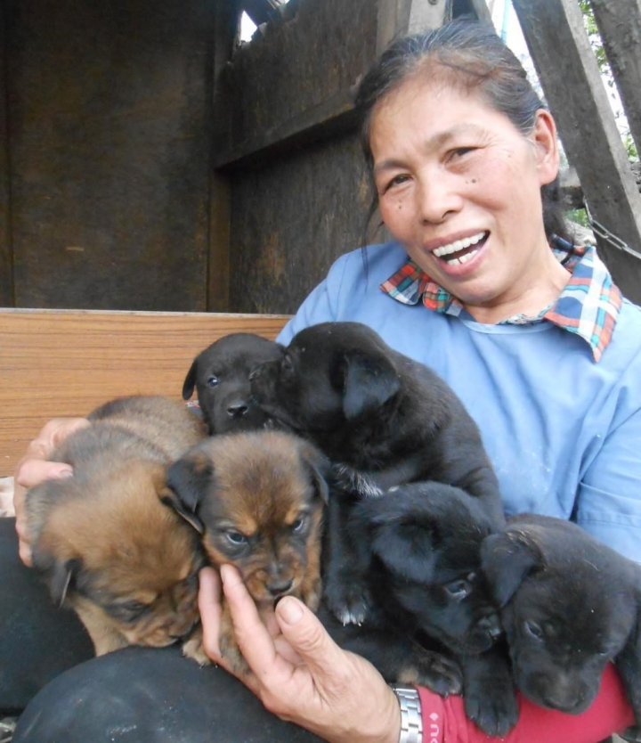 The late Chu Su-mei (朱素梅). Photo taken from Aunty Chu's Dog Shelter in Hualien Needs Our Help (花蓮朱阿姨狗園需要你我的幫忙) Facebook page