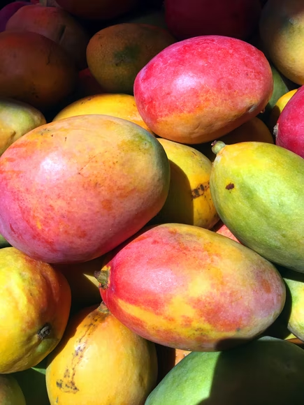 Macau imposes another ban on Taiwan mangoes over COVID-19 concerns