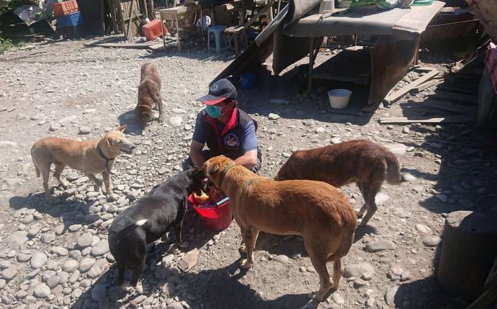 Officials visiting Aunty Chu's Dog Loving Paradise (朱阿姨愛狗樂園). Photo courtesy of the Hualien County Government Department of Agriculture