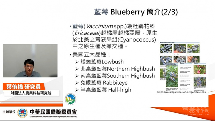 葉侑橋研究員講解藍莓栽培技術的合作商機