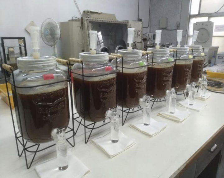台糖研究團隊如火如荼進行原料篩選與小量試驗，將逐步去蕪存菁，發揮蘭姆酒的優點特色並開發不同風味。 （台糖提供）