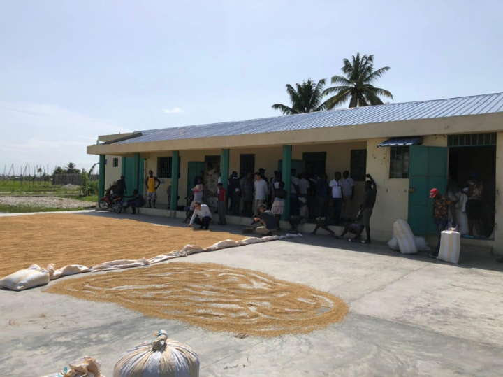 古大使文劍與海地農長蒲瑞迪共同主持「海地西南部震災後糧食安全及生計強化計畫」啟動儀式