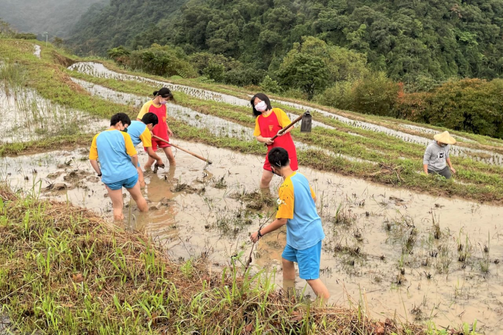 新北市貢寮國中與在地組織合作，進行水梯田農事體驗課程。(台灣海洋大學提供)