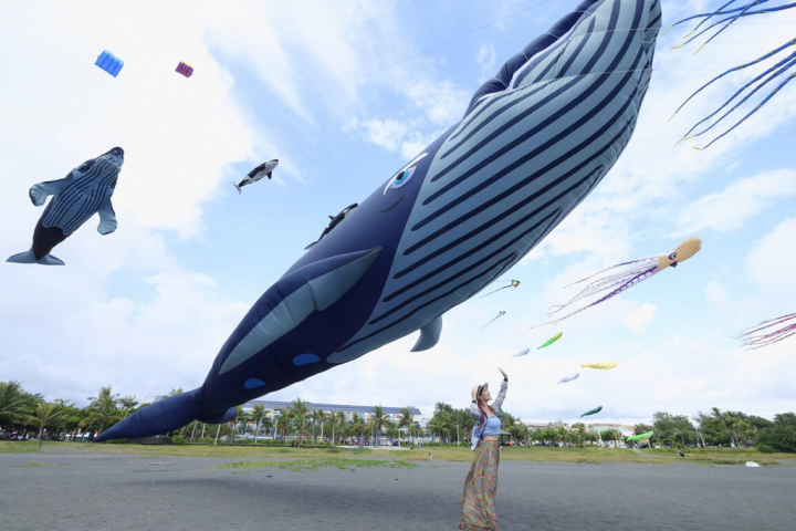 2022旗津風箏節將於20日、21日登場，高雄市政府觀光局17日進行風箏試飛，長16公尺的大鯨魚風箏在天空中飛舞。（高雄市觀光局提供）