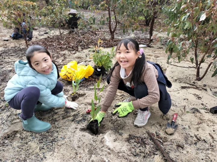 佛光山西澳中華學校學生開心的種下樹苗
