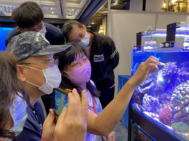 今年將架設兩個珊瑚生態展缸，供民眾觀賞。