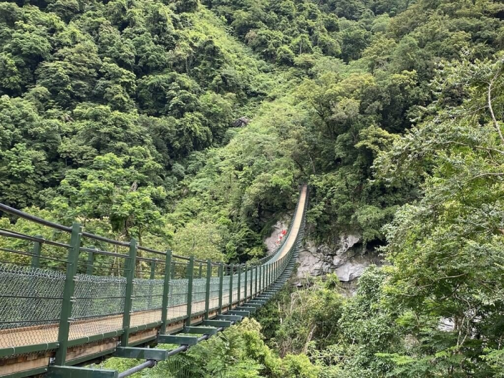 花蓮富源國家森林遊樂區內的龍吟吊橋因天災損壞，歷經3年整修，即日起重新開放。（花蓮林區管理處提供）