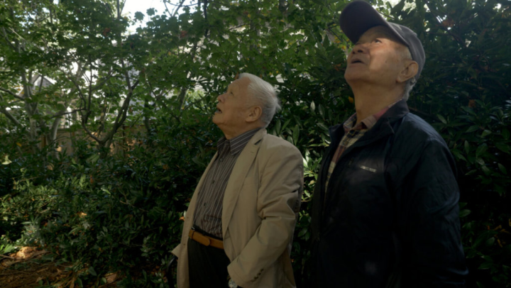 總統府資政、詩人吳晟（右）年少即熱愛文學，每個階段都有前輩厚愛和友人扶持，其中，提攜他最多的是作家瘂弦（左）。圖為2人2019年在溫哥華相見。（目宿媒體提供）