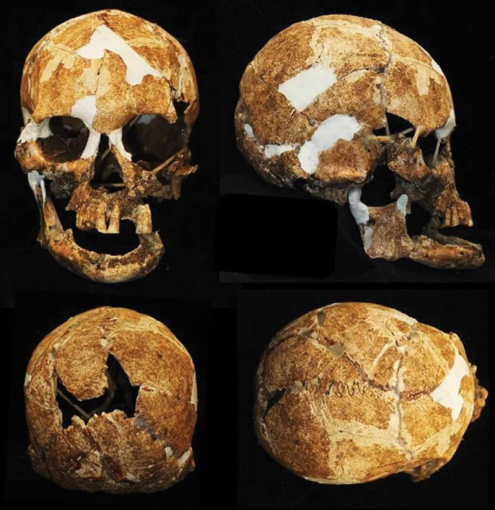 picture from tandfonline.com