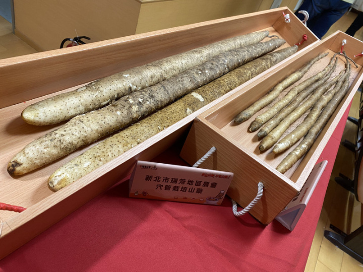 新北市農業局5日下午舉行記者會，宣告新北山藥正值盛產，是秋冬補充元氣的最佳選擇，也是東北角產地居民的私房健康秘訣，現場並展示瑞芳地區農會以穴管栽培的山藥，可長達1公尺多，是農民以「塑膠導管誘導栽培法」種植。