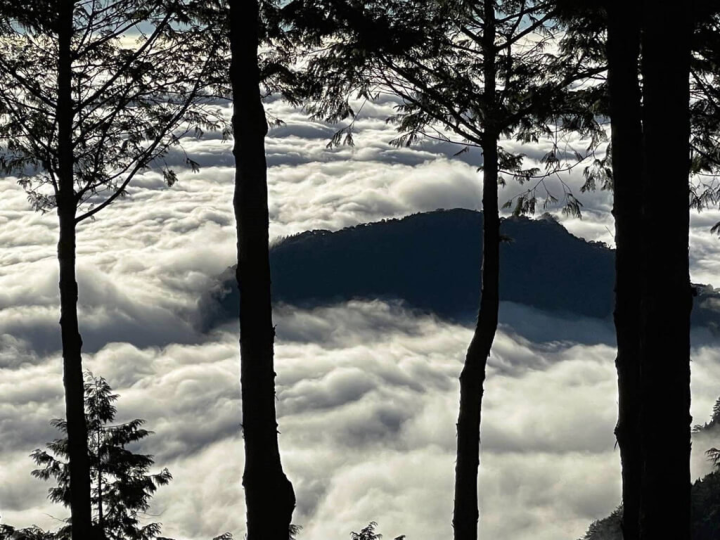 嘉義林區管理處表示，11月東北季風再起，正是觀賞阿里山壯麗雲海最好的時期。（嘉義林管處提供）