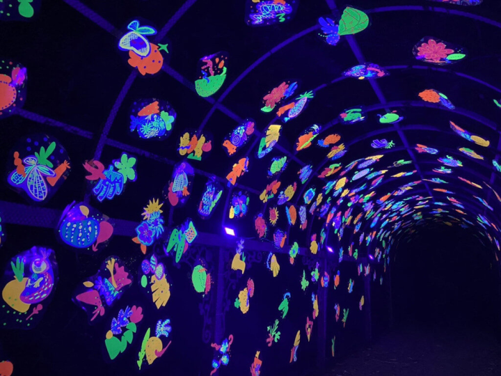 「台東光祭」15日將在卑南鄉知本地區登場，台東縣政府盼以極具未來感的光影、聲音裝置藝術展覽，帶動知本溫泉發展。圖為作品「實光旅行」。（台東縣政府提供）