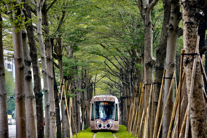 高雄輕軌C20台鐵美術館站至C24愛河之心站5日通車試營運，其中C21A美術館西站至C21美術館東站，因採「以站就樹」設計，讓乘客彷彿置身綠色隧道，因而有了「龍貓隧道」之稱。