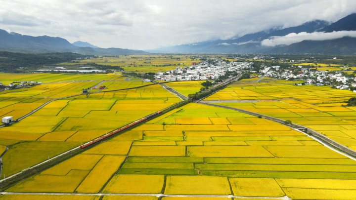 紀錄片「稻浪上的夢想家」讓更多到池上的民眾認識這個美麗農村背後的在地耕耘者，揭開稻浪上夢想家們不為人知的故事。（稻浪上的夢想家製作團隊提供）