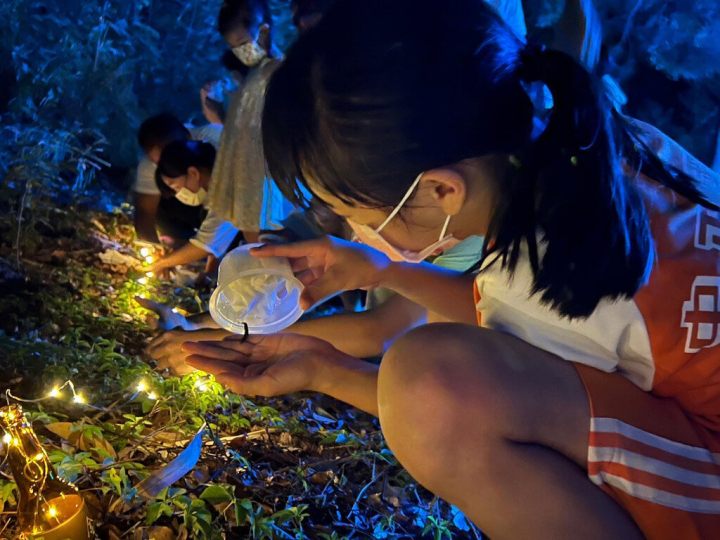  2022金門星光節30日在熄燈之際同步野放上千隻螢火蟲幼蟲，看到熠熠螢火，大小朋友驚呼連連，相約明年此時共賞螢火蟲成群飛舞。（金門縣政府提供）