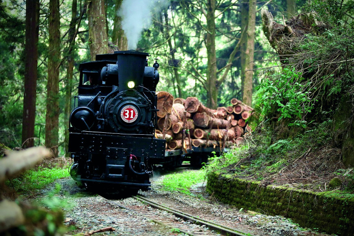 蒸汽火車行駛在林道上，百年運材的場景重現。（林務局阿里山林業鐵路及文化資產管理處提供）