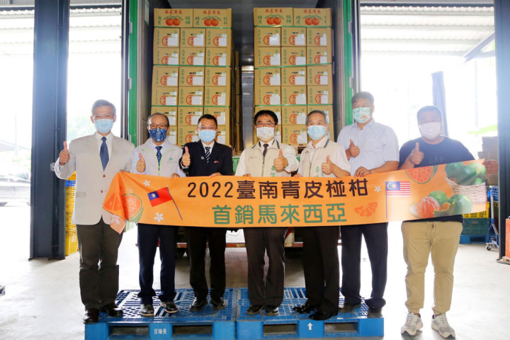 台南青皮椪柑首次前進馬來西亞，8日封櫃420箱外銷。（台南市政府提供）