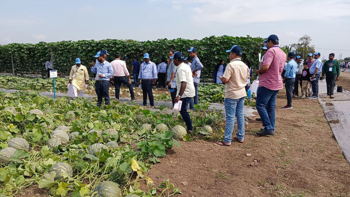 農友種苗印度分公司15日為座落在西部大城普恩（Pune）的新廈舉行落成典禮，同時舉辦田間觀摩會。（農友種苗印度分公司提供）