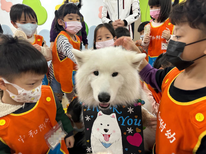 新北市中和國小附設幼兒園30日舉辦學齡前幼兒活動，一同為動物梳毛、玩遊戲，也由台灣狗醫生協會認證的毛小孩「魯蛋」（前中）當醫生、參與課程，讓融合教育更多元、溫暖，引領幼兒學習以正確方式疼惜生命。（新北市教育局提供）