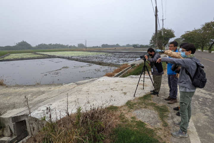 2022台南冬季水雉數量調查4日進行，共有111名調查員投入，最後共記錄到2603隻水雉，較前一年同期增加351隻。（水雉生態教育園區提供）
