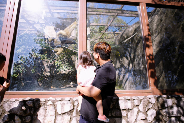 壽山動物園將於16日起試營運，為提供遊客更好的參觀環境，先邀請周邊國小學童、鄰里居民、動物認養人等團體搶先體驗園區景緻並測試服務流暢度。（壽山動物園提供）