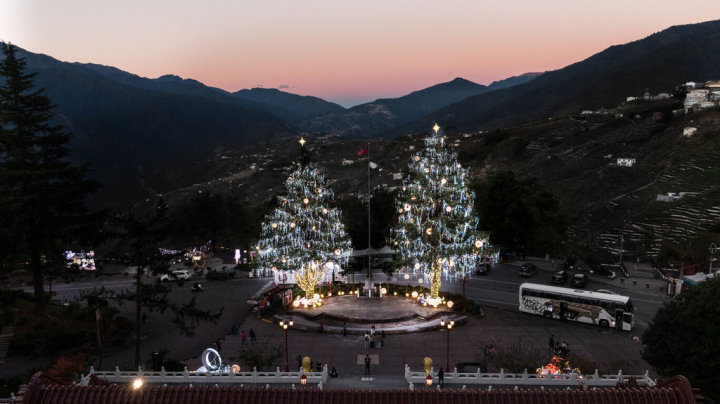 2022山谷燈光節12月1日將點燈，位於梨山賓館前、高達28公尺的兩棵大雪松也被點綴成耶誕樹，布置閃亮耶誕燈飾，將在梨山山谷黑夜中閃耀。（參山國家風景區管理處提供）
