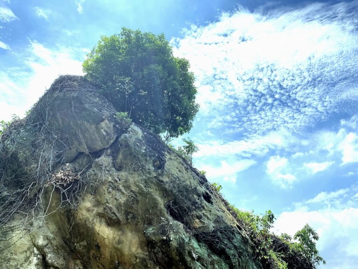 新北市政府觀光旅遊局23日發布新聞表示，春節期間出遊人數多，大家可選擇搭大眾交通工具來趟「微笑山線」春遊。圖為鶯歌石步道，登頂後的鶯歌石相當壯觀，相對適合春節期間親子家庭來一趟綠能之旅。（新北觀光旅遊局提供）