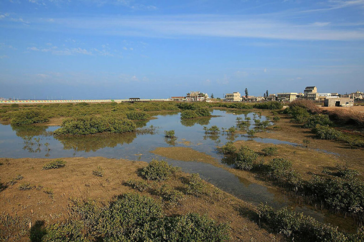 澎湖「青螺濕地」面積遼闊且海岸濕地類型多樣，有岩礁和礫石海岸、沙灘和泥質海岸，以及紅樹林、潮池、沙洲、魚塭等濕地類型，是國家級重要濕地。（澎湖農漁局提供）