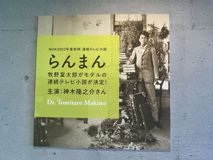日本放送協會（NHK）4月將播放以「日本植物學之父」牧野富太郎為原型人物的故事「爛漫」晨間劇，高知縣對此滿懷期待，縣立牧野植物園內懸掛海報。