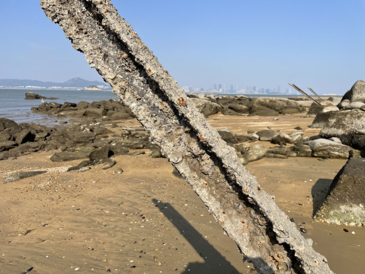 昔日在金門岸邊的反登陸樁捍衛著金門本島和烈嶼，如今則成了濕地和潮間帶生物的樂土；俗稱「軌條呰」的反登陸樁附著藤壺等眾多生物，形成獨特生態景觀。