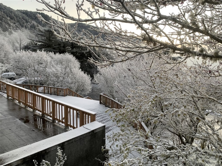 Photo courtesy of Taitung Forest District Office