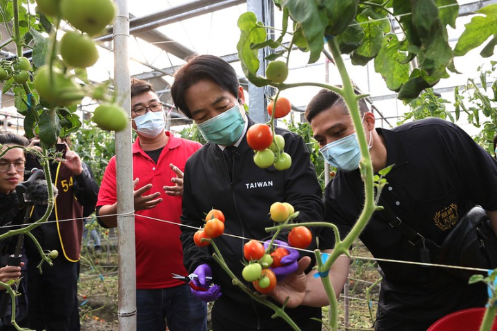賴清德副總統6日下午前往雲林參訪「潮農天團」農場