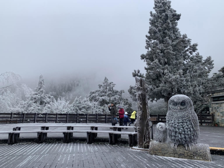 受寒流影響，海拔約1900公尺、位在宜蘭縣的太平山國家森林遊樂區25日清晨雖沒下雪，但出現霧淞銀白美景，上午還降下冰霰，吸引不少遊客上山走春。（林務局羅東林管處提供）