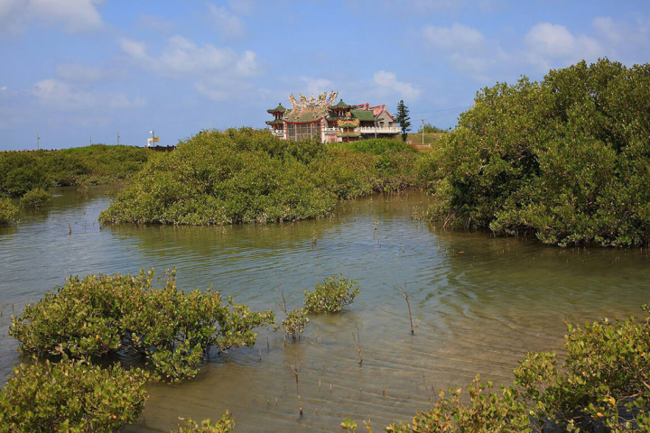 列為國家級重要濕地的澎湖「青螺濕地」，自然和人文生態資源豐富，除了是澎湖最大紅樹林復育區，同時也是候鳥度冬或過境重要棲息地之一。（澎湖農漁局提供）