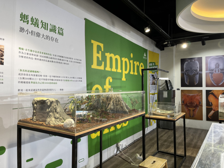 「螞蟻帝國」在網路科普知識宣導，店內也會不定期辦課程、DIY活動，業者希望下個里程碑是在館內設台灣螞蟻生態博物館。