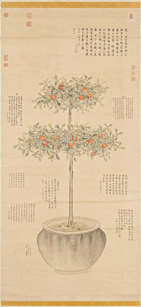 首頁 / 文化 故宮南院新春展件 大吉大利喜氣洋洋 2023/1/16 15:43（1/16 17:01 更新） 故宮南院「翰墨空間－故宮書畫賞析」展出清代宮廷畫家余省「仿御筆盆橘」畫作，取橘與吉諧音，象徵大吉大利，是走春首選。（故宮南院提供）