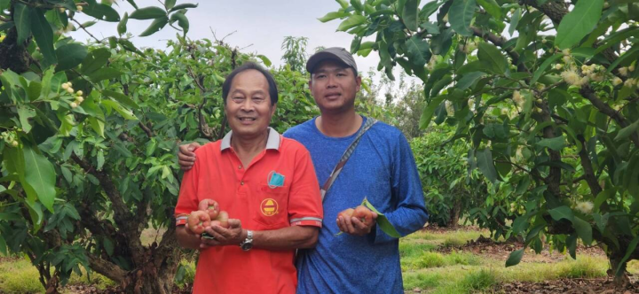 蔡順得(左)、蔡協良(右)父子聯手，南州蓮霧名聲響亮。