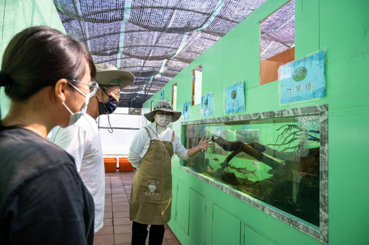  為了全年都能吸引遊客，草莓學校總經理陳榮坤說，非草莓產季時，園區內會種植西瓜等蔬果，同時結合桃園「千埤之鄉」的地理特色，打造結合在地原生魚種的水族箱。（草莓學校提供）
