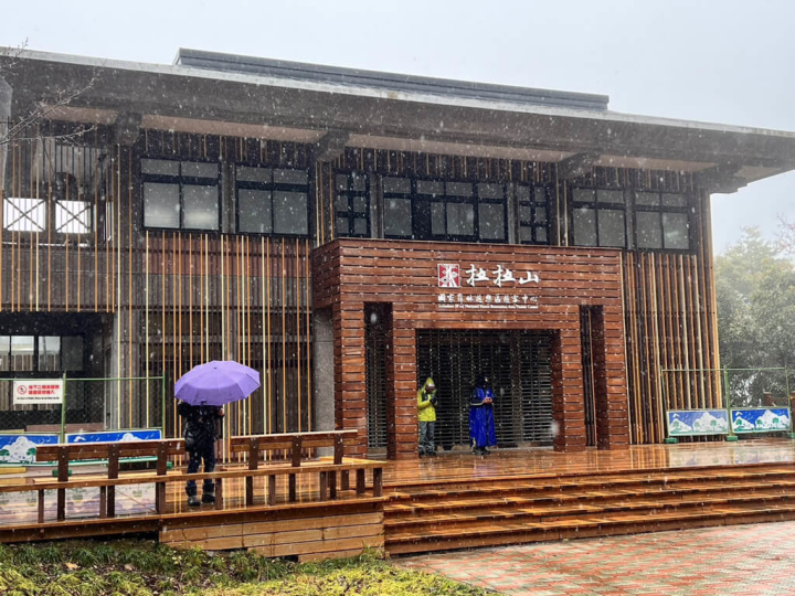 桃園市拉拉山巨木區24日因為低溫下起冰霰，吸引遊客目光。（桃園市觀旅局提供）