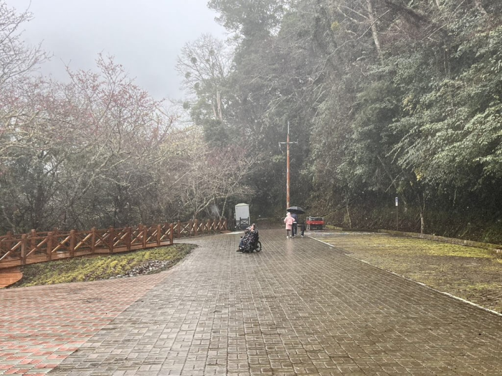 桃園市拉拉山巨木區24日因低溫下起冰霰，桃園市政府觀光旅遊局表示，目前拉拉山上隨著氣溫變化，下冰霰和下雪的情形交錯、一陣一陣，冰霰的量較多，但空中的冰晶、雪狀物都是肉眼可見。（桃園市觀旅局提供）