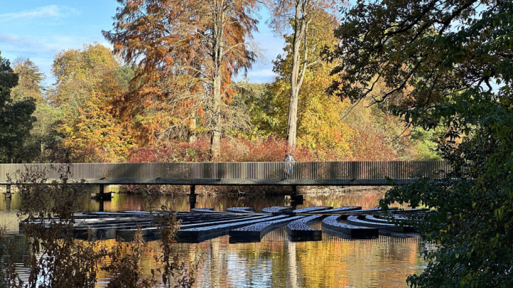 邱園（Kew Gardens）位於大倫敦西南方，擁有全球規模最大、種類最豐富的植物收藏，2012年起舉行耶誕新年燈會，成為倫敦冬季賞燈勝地。台灣「有用主張」工作室是2022年燈會新面孔，為團隊首度參加徵選。（有用主張提供）