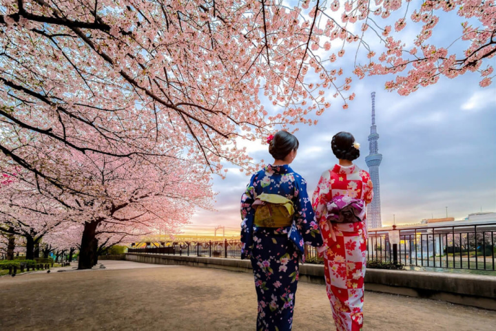 全球知名數位旅遊平台Agoda公布「台灣人最愛親子旅遊城市Top5」，國際城市以日本東京排第1名。（Agoda提供）