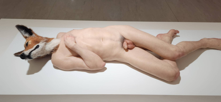 澳洲雕塑藝術家山姆・詹克斯（Sam Jinks）的作品〈犬頭〉，就是擁有狐狸頭混合人類身體的混種人，細膩捕捉生命百態中生與死的共通性。(江昭倫 攝)