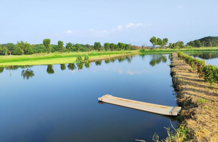 屏東縣政府近年在萬年溪上游以生態工法整闢占地約30公頃的萬年濕地群，除可淨化水質，更能豐富生態多樣性，也是生態環境教育場域。（屏東縣政府提供）