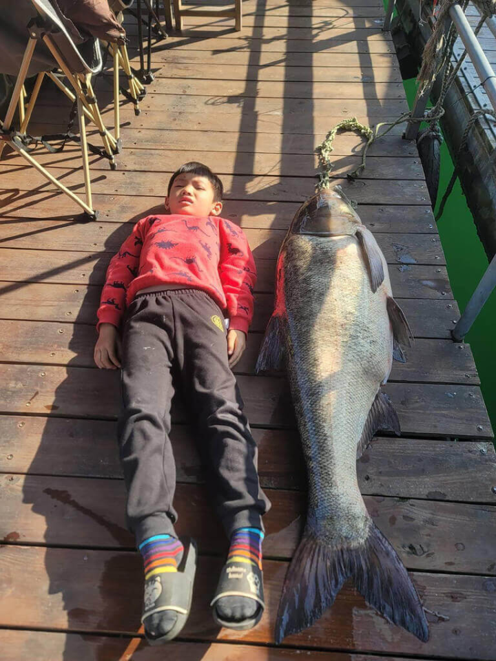 巨無霸大頭鰱現身日月潭，釣客奮力搏鬥10多分鐘才捕獲，魚身長接近身高117公分的小一男童。（日月潭一等高提供）