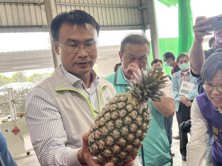 鳳梨進入產季，農委會主委陳吉仲（左）6日到屏東視察鳳梨產銷狀況及鳳梨冷鏈產銷供應體系。